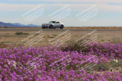 media/Jan-08-2023-SCCA SD (Sun) [[8f6a5b9391]]/Advanced Group/Session 2 (Short Straight)/